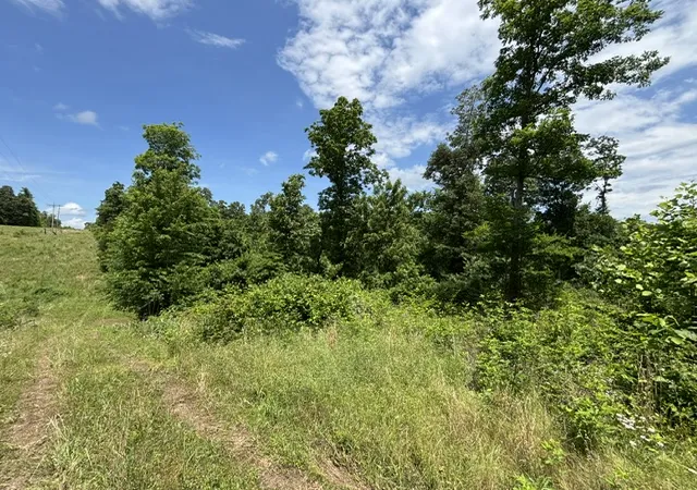 Photo 3 of Land for sale at Ar 21 S Berryville 72, Berryville, AR 72616 | MLS# 1348994 | Listing updated on 2026-09-10