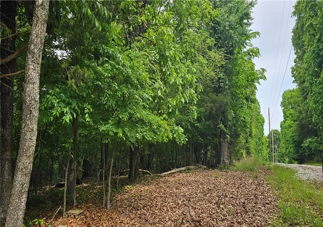 Photo 1 of Sale Pending at 14215 Frisco Springs Rd, Lowell, AR 72745 | MLS# 1349408 | Listing updated on 2026-09-07