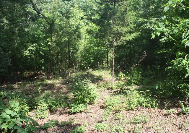 Photo 3 of Land for sale at 5, 6 & 7 Westmoreland Dr, Bull Shoals, AR 72619 | MLS# 1351444 | Listing updated on 2026-09-05