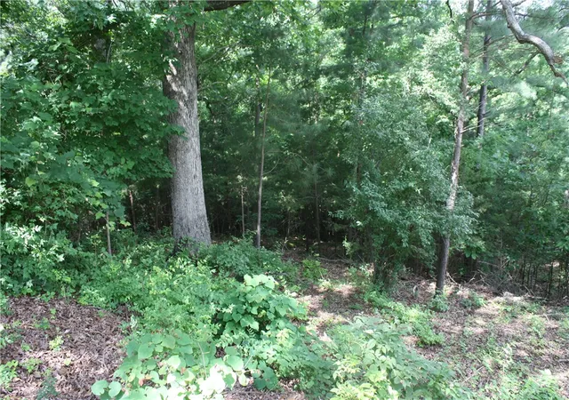 Photo 3 of Land for sale at 5, 6 & 7 Westmoreland Dr, Bull Shoals, AR 72619 | MLS# 1351444 | Listing updated on 2026-09-05