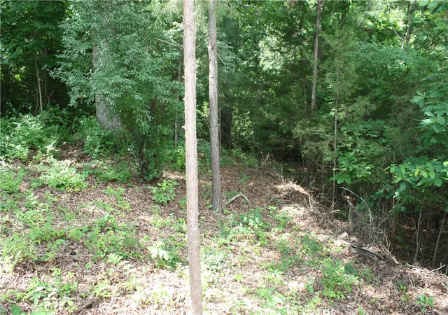 Photo 4 of Land for sale at 5, 6 & 7 Westmoreland Dr, Bull Shoals, AR 72619 | MLS# 1351444 | Listing updated on 2026-09-05