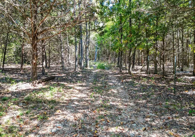 Photo 3 of Land for sale at Pine Tree, Prairie Grove, AR 72753 | MLS# 1351803 | Listing updated on 2026-09-15