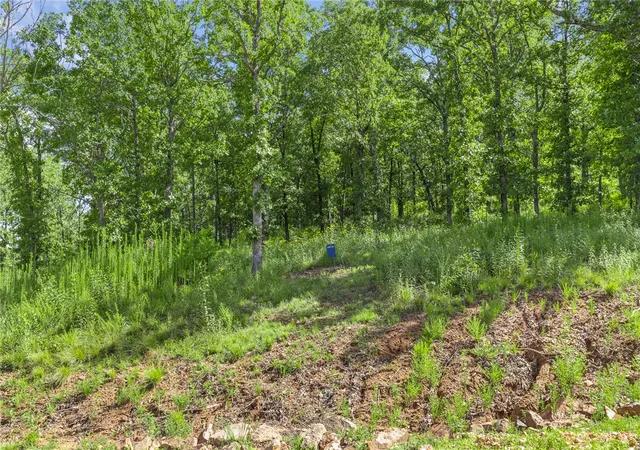 Photo 3 of Land for sale at Lot 22 Restore Ridge, Harrison, AR 72601 | MLS# 1352110 | Listing updated on 2026-09-09