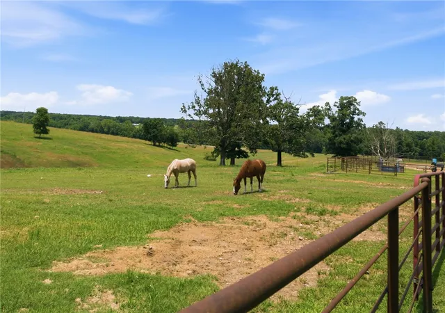 Photo 3 of Single family home for sale at 12265 S Pleasant Valley Rd, Gentry, AR 72734 | MLS# 1349834 | Listing updated on 2026-08-31