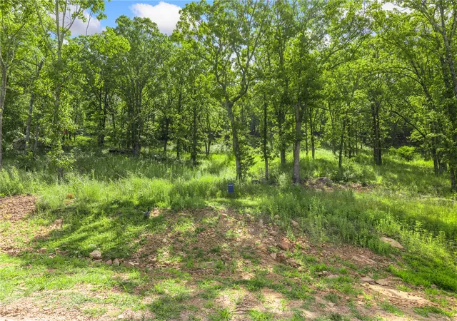 Photo 1 of Land for sale at Lot 62 Restore Ridge, Harrison, AR 72601 | MLS# 1352128 | Listing updated on 2026-09-09