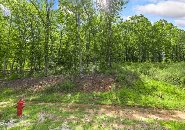 Photo 1 of Land for sale at Lot 64 Restore Ridge, Harrison, AR 72601 | MLS# 1352132 | Listing updated on 2026-09-09