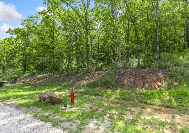Photo 3 of Land for sale at Lot 64 Restore Ridge, Harrison, AR 72601 | MLS# 1352132 | Listing updated on 2026-09-09