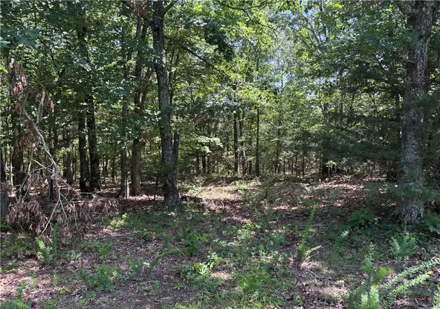 Photo 4 of House for sale at 001 Madison 3202, Huntsville, AR 72740 | MLS# 1353900 | Listing updated on 2026-09-18