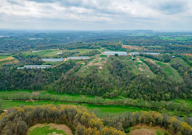 Photo 3 of Land for sale at 10791 Stoney Point Rd, Lowell, AR 72745 | MLS# 1354108 | Listing updated on 2026-10-07