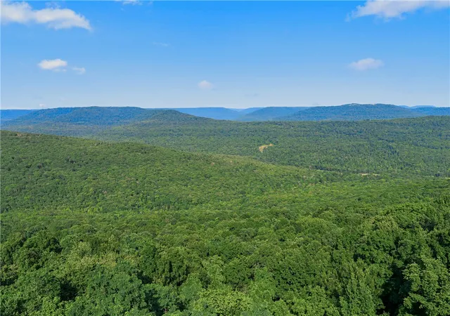 Photo 4 of Single family home for sale at 22522 N Highway 71, Winslow, AR 72959 | MLS# 1354093 | Listing updated on 2026-09-13