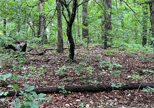 Photo 2 of Land for sale at Lot 3 Block 6 Dunstable Dr, Bella Vista, AR 72714 | MLS# 1352903 | Listing updated on 2026-10-13
