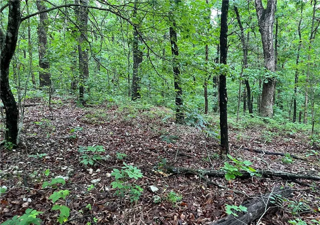Photo 3 of Land for sale at Lot 3 Block 6 Dunstable Dr, Bella Vista, AR 72714 | MLS# 1352903 | Listing updated on 2026-10-13