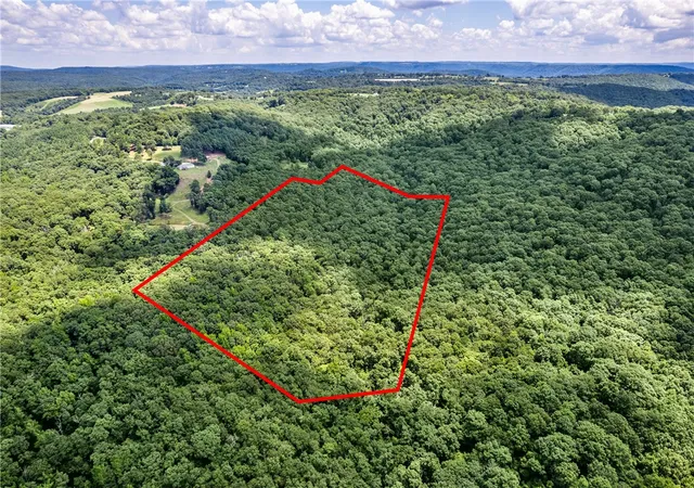 Photo 3 of Land for sale at Tbd Hollow Ln, Winslow, AR 72959 | MLS# 1355212 | Listing updated on 2026-09-09