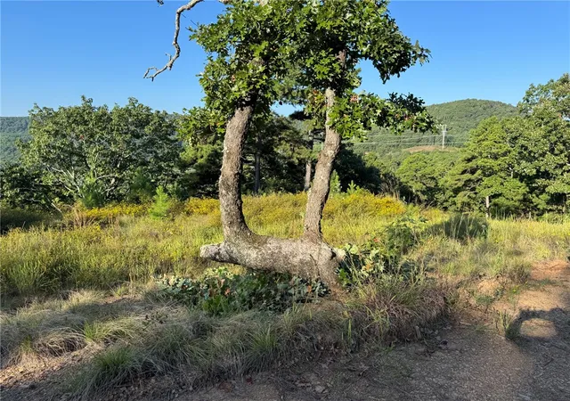 Photo 3 of Land for sale at Tater Mountain W, Dardanelle, AR 72834 | MLS# 1355475 | Listing updated on 2026-08-31