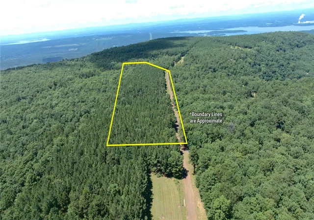 Land for sale at Spring Mountain Airstrip, Dardanelle, AR 72834 | MLS# 1355495
