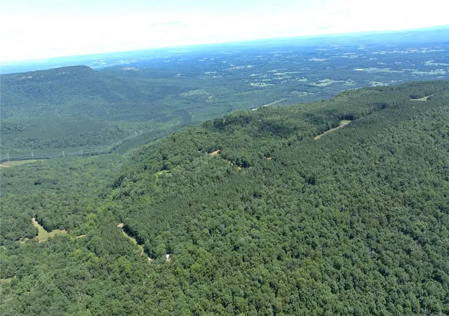 Photo 4 of Land for sale at Spring Mountain Airstrip, Dardanelle, AR 72834 | MLS# 1355495 | Listing updated on 2026-08-31