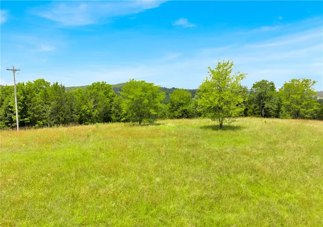 Photo 2 of Sale Pending at 6329 Highway 21, Berryville, AR 72616 | MLS# 1356218 | Listing updated on 2026-08-31
