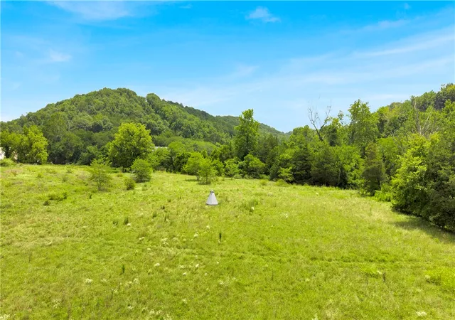 Photo 3 of Sale Pending at 6329 Highway 21, Berryville, AR 72616 | MLS# 1356218 | Listing updated on 2026-08-31