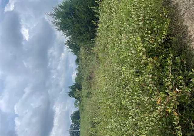 Photo 3 of Land for sale at Tbd Cr 972, Alpena, AR 72611 | MLS# 1357370 | Listing updated on 2026-09-03