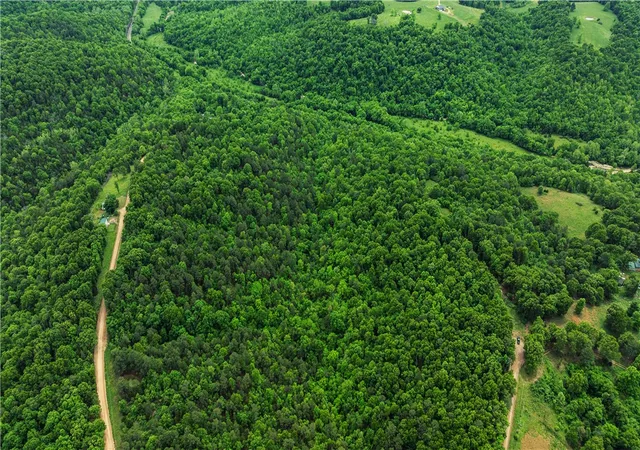 Photo 3 of Land for sale at Twin Frk Dr Tract 22, Harrison, AR 72601 | MLS# 1357743 | Listing updated on 2026-09-11