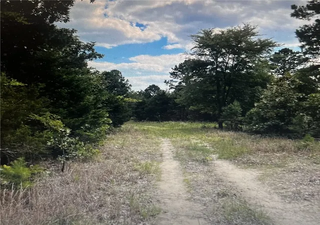 Photo 2 of Land for sale at 001 00238 002 White Tail Ln, Jordan, AR 72519 | MLS# 1358015 | Listing updated on 2026-09-09