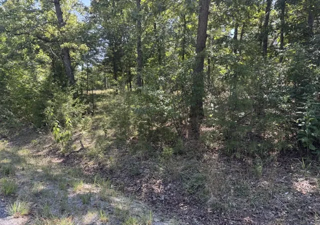 Photo 1 of Land for sale at 124 Valley Dr, Holiday Island, AR 72631 | MLS# 1358861 | Listing updated on 2026-09-09