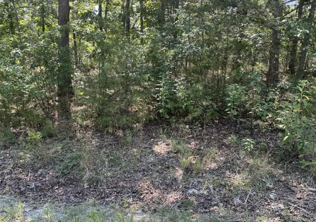 Photo 2 of Land for sale at 124 Valley Dr, Holiday Island, AR 72631 | MLS# 1358861 | Listing updated on 2026-09-09
