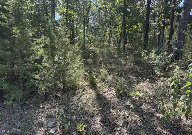 Photo 3 of Land for sale at 124 Valley Dr, Holiday Island, AR 72631 | MLS# 1358861 | Listing updated on 2026-09-09