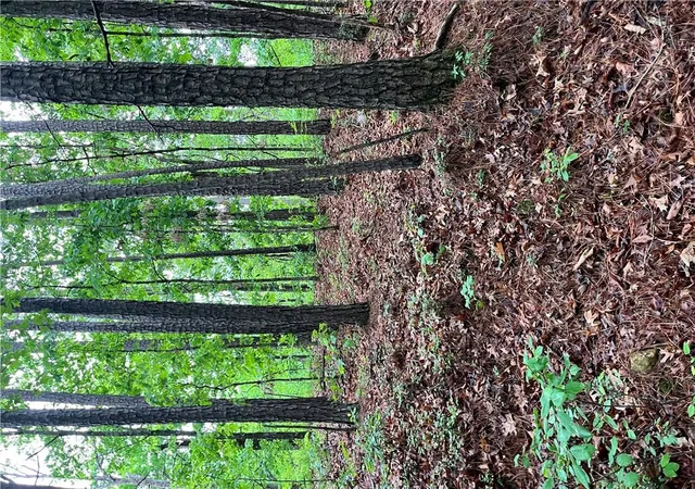 Photo 2 of Land for sale at Dunholme Dr, Bella Vista, AR 72714 | MLS# 1359588 | Listing updated on 2026-09-08