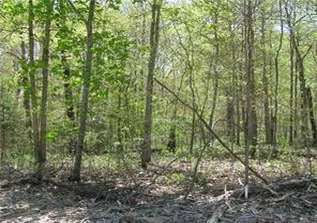 Photo 1 of Land for sale at Argyll Dr, Bella Vista, AR 72715 | MLS# 1359541 | Listing updated on 2026-09-04