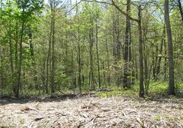 Photo 2 of Land for sale at Argyll Dr, Bella Vista, AR 72715 | MLS# 1359541 | Listing updated on 2026-09-04