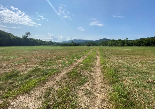 Photo 3 of Sale Pending at Nc 7460, Deer, AR 72628 | MLS# 1359158 | Listing updated on 2026-09-10