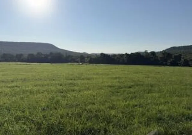 Photo 4 of Sale Pending at Tbd County Road 906, Green Forest, AR 72638 | MLS# 1359665 | Listing updated on 2026-09-11