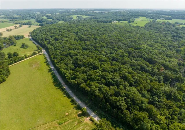 Photo 2 of Land for sale at Tbd Aubrey Long Rd, Gentry, AR 72734 | MLS# 1359856 | Listing updated on 2026-09-14