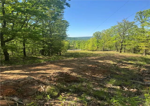 Photo 4 of Sale Pending at Tbd Ar-23, Witter, AR 72776 | MLS# 1359594 | Listing updated on 2026-09-19