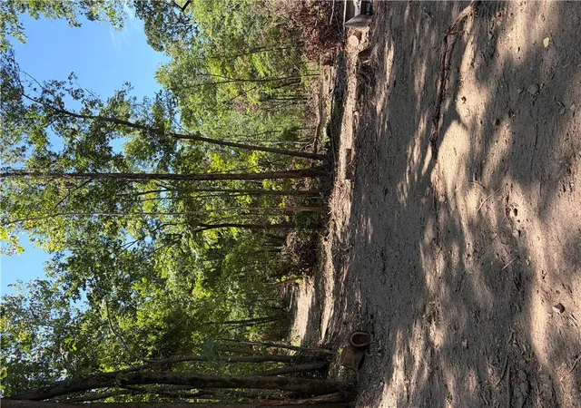 Photo 2 of Land for sale at Tbd N Hwy 244, Summers, AR 72769 | MLS# 1359871 | Listing updated on 2026-09-04