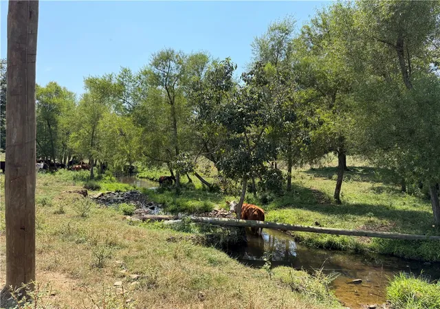 Photo 2 of Land for sale at 1 Madison 3655, Huntsville, AR 72742 | MLS# 1359938 | Listing updated on 2026-09-18