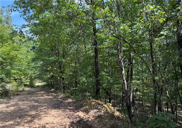 Photo 3 of Land for sale at 1 Madison 3405, Huntsville, AR 72740 | MLS# 1359930 | Listing updated on 2026-08-29