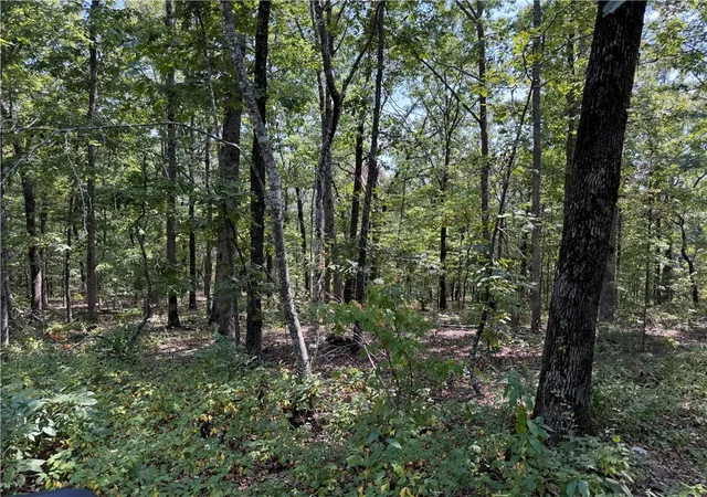 Photo 3 of House for sale at 1 Madison 3405, Huntsville, AR 72740 | MLS# 1359930 | Listing updated on 2026-08-29