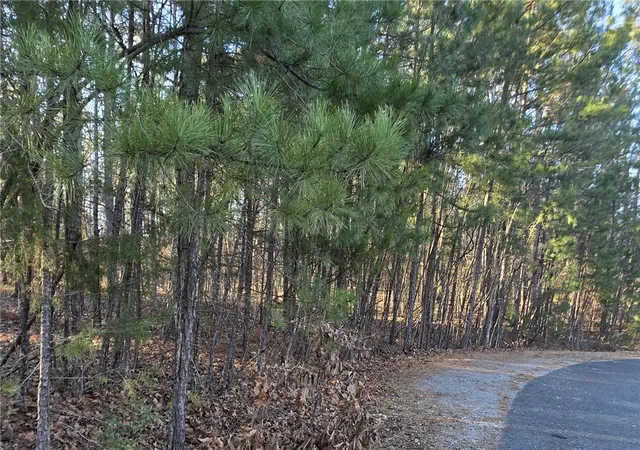 Photo 2 of Land for sale at 36 Promesa Ln, Hot Springs Village, AR 71909 | MLS# 1360242 | Listing updated on 2026-08-31