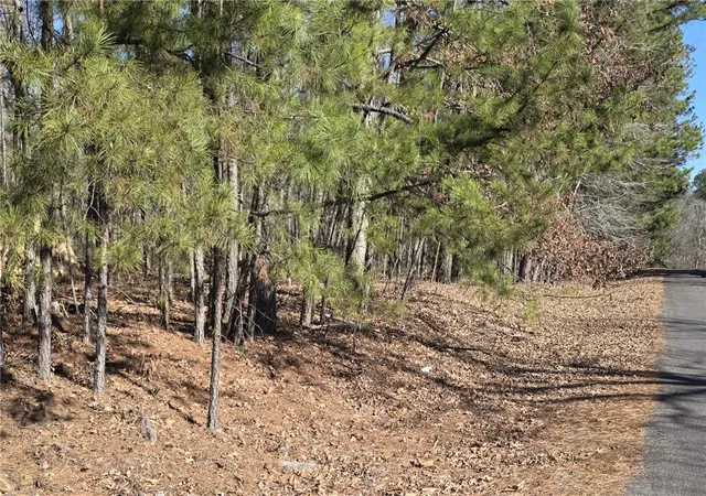 Photo 1 of Land for sale at Sacedon Wy, Hot Springs Village, AR 71909 | MLS# 1360250 | Listing updated on 2026-08-31