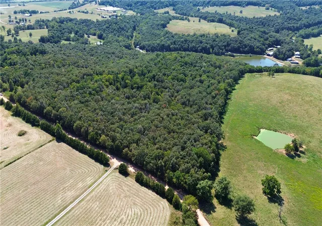 Photo 2 of Sale Pending at 10 Acres Madison 2035, Huntsville, AR 72740 | MLS# 1360026 | Listing updated on 2026-09-11