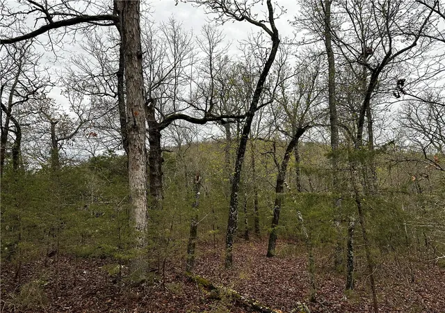 Photo 1 of Land for sale at 001 00447 000 Mc 6037, Yellville, AR 7268 | MLS# 1360301 | Listing updated on 2026-09-09