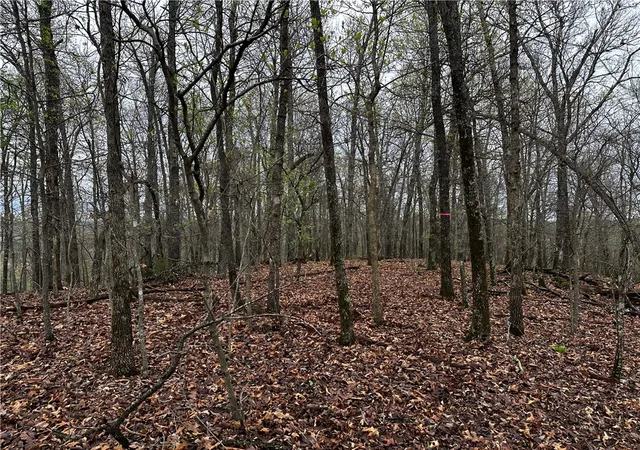 Photo 3 of Land for sale at 001 00447 000 Mc 6037, Yellville, AR 7268 | MLS# 1360301 | Listing updated on 2026-09-09
