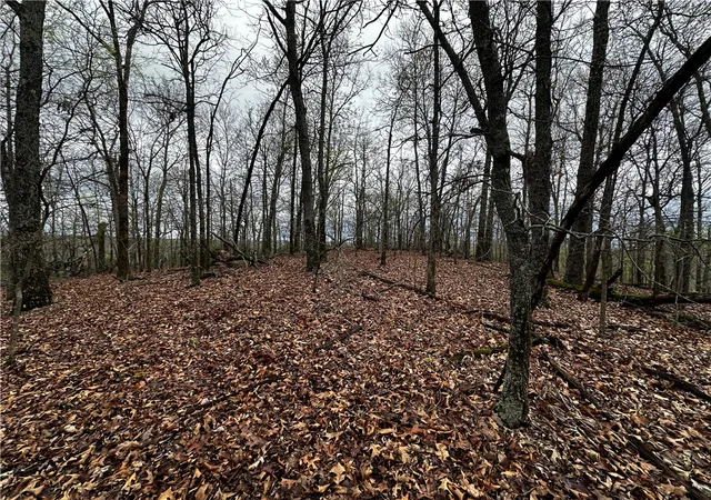 Photo 3 of House for sale at 001-00447-000 Mc 6037, Yellville, AR 7268 | MLS# 1360301 | Listing updated on 2026-09-09