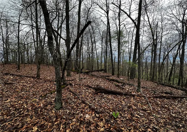 Photo 4 of House for sale at 001-00447-000 Mc 6037, Yellville, AR 7268 | MLS# 1360301 | Listing updated on 2026-09-09
