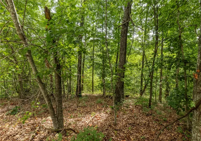 Photo 2 of Land for sale at Cullen Hills Dr, Bella Vista, AR 72715 | MLS# 1360064 | Listing updated on 2026-08-29