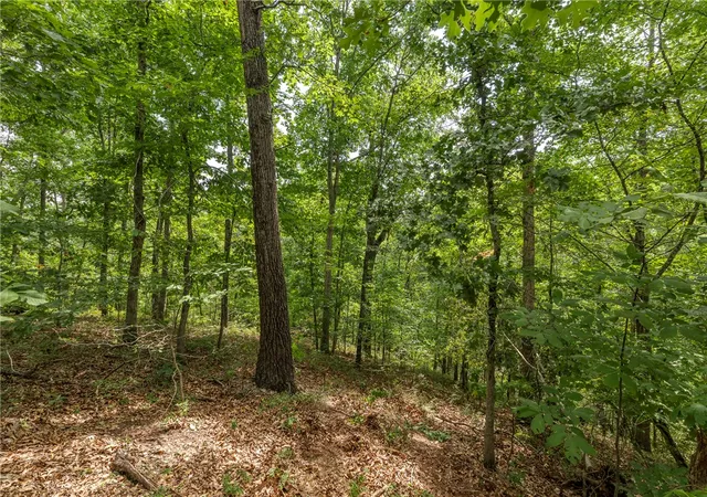 Photo 3 of Land for sale at Cullen Hills Dr, Bella Vista, AR 72715 | MLS# 1360064 | Listing updated on 2026-08-29
