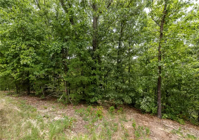 Photo 3 of Land for sale at Cullen Hills Dr, Bella Vista, AR 72715 | MLS# 1360064 | Listing updated on 2026-08-29