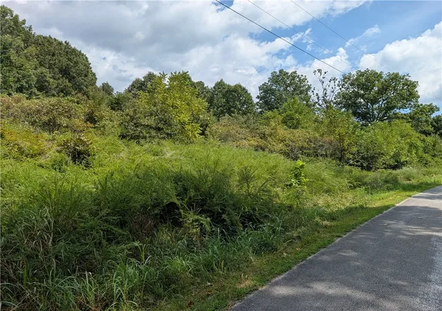 Land for sale at Parliment Dr, Harrison, AR 72601 | MLS# 1360475